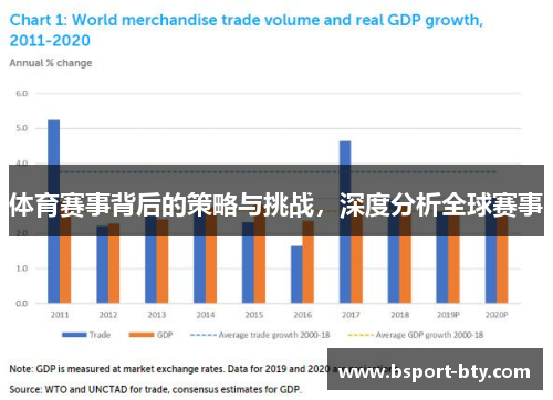体育赛事背后的策略与挑战，深度分析全球赛事